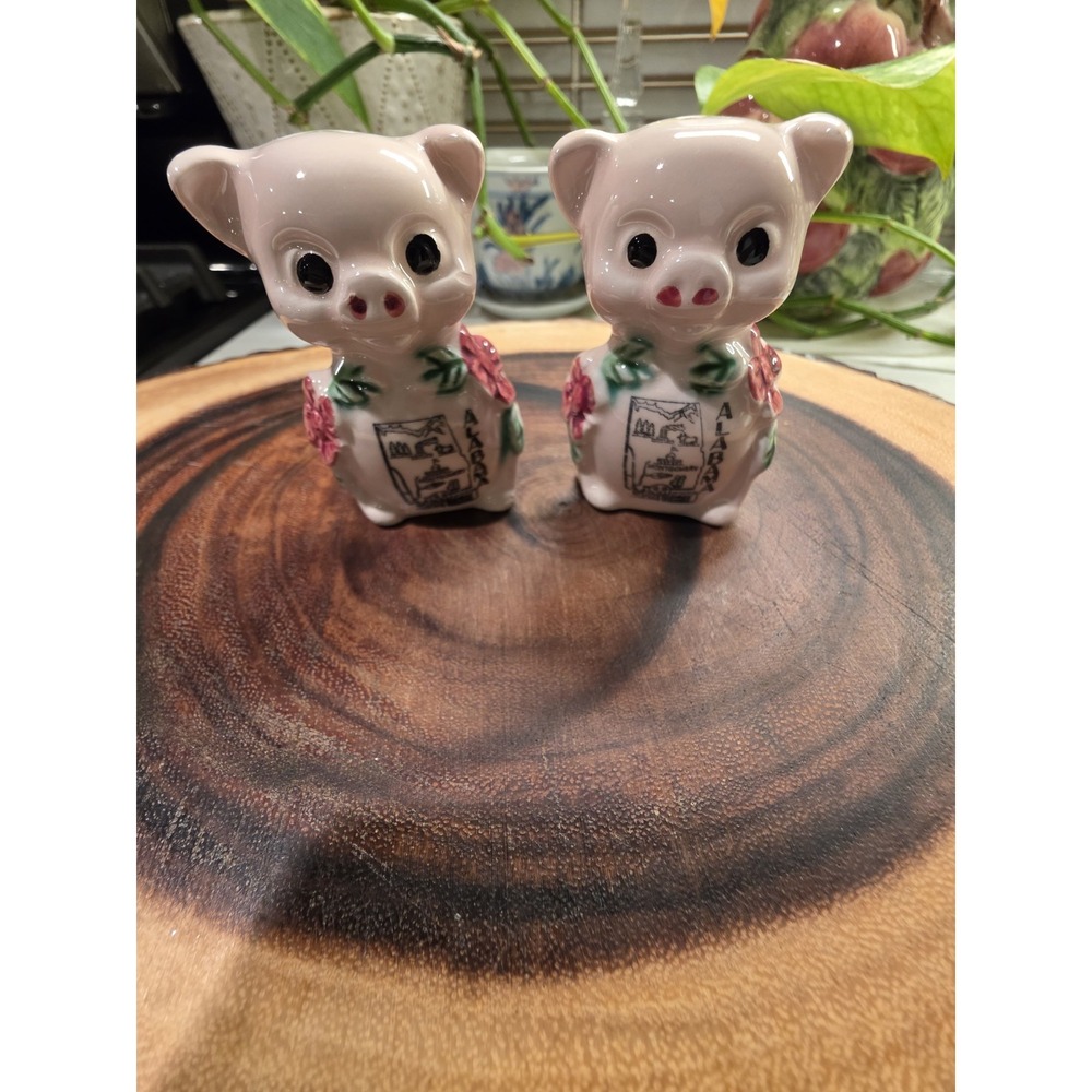 Vintage Porcelain Alabama Souvenir Pig With Floral Salt And Pepper Shakers